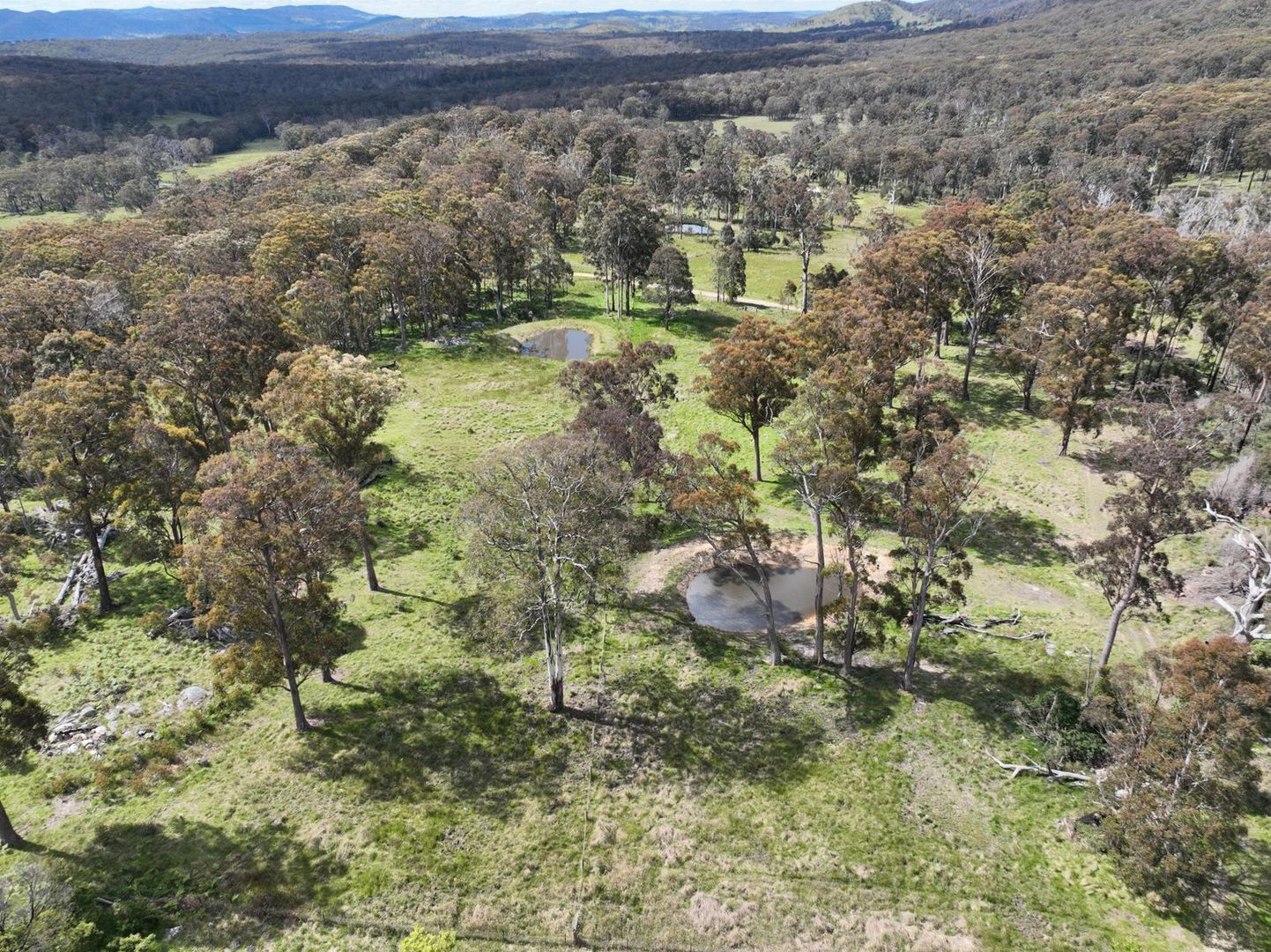 1505 Mount Speribo Road, Tenterfield NSW 2372 House for Sale