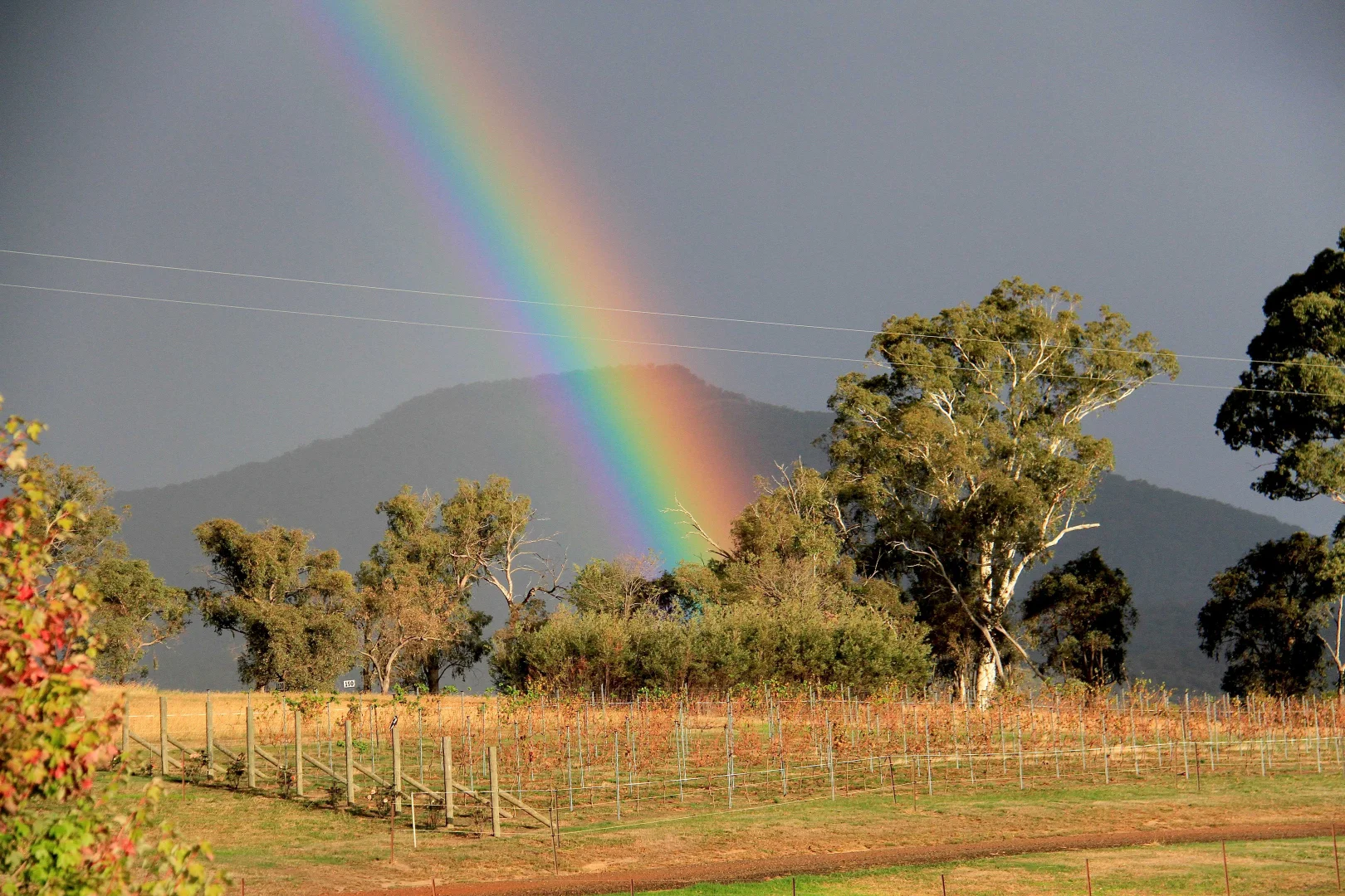 Additional image 21 of 187 Mccormacks Road, Merrijig VIC 3723
