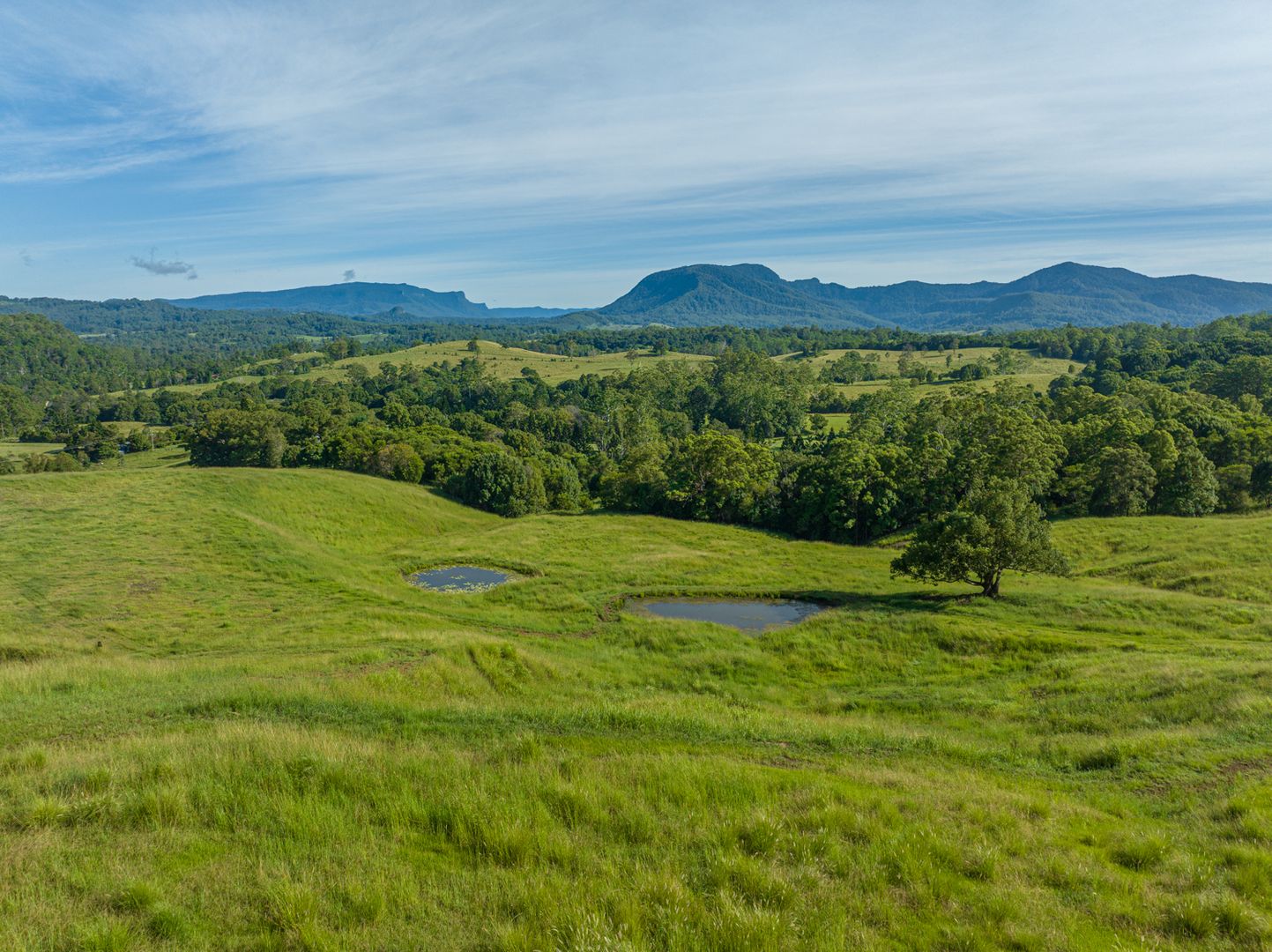 2298 Nimbin Road, Nimbin NSW 2480, Image 2