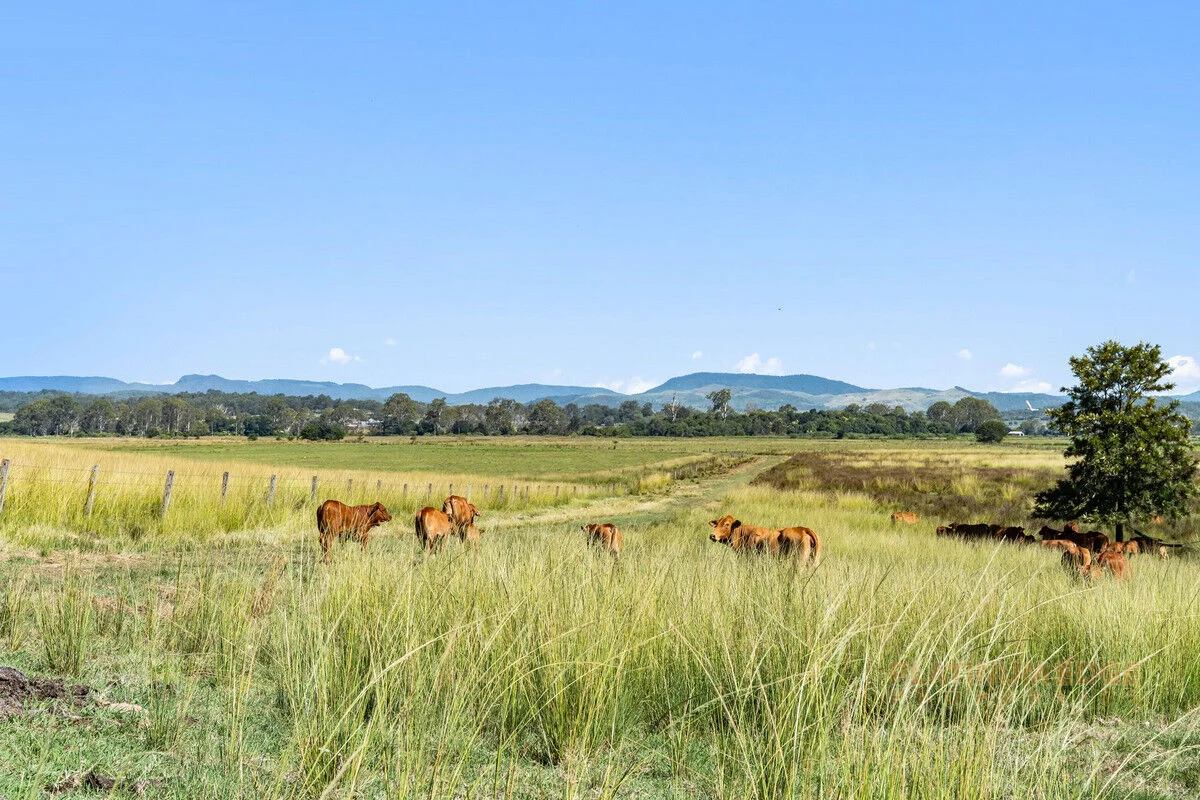Additional image 20 of 32 Tamrookum Church Road, Tamrookum QLD 4285