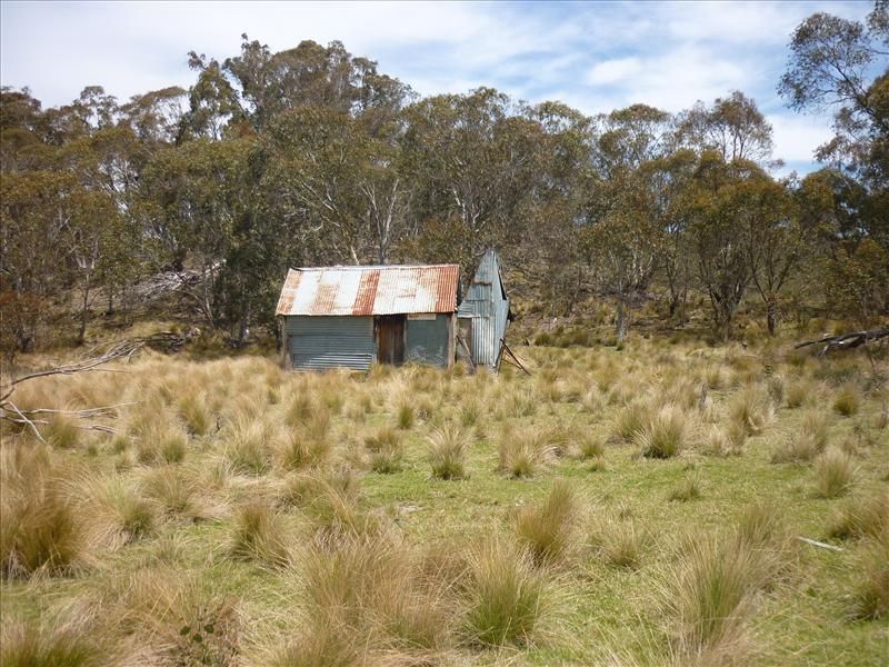 Harry's Greenhills Road, Jerangle NSW 2630, Image 0