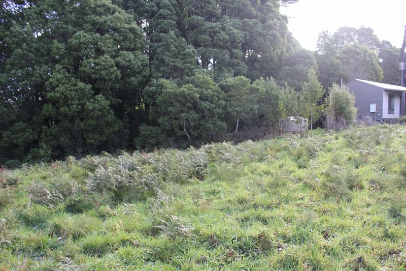 14 Dehnerts Track, Beech Forest VIC 3237, Image 1