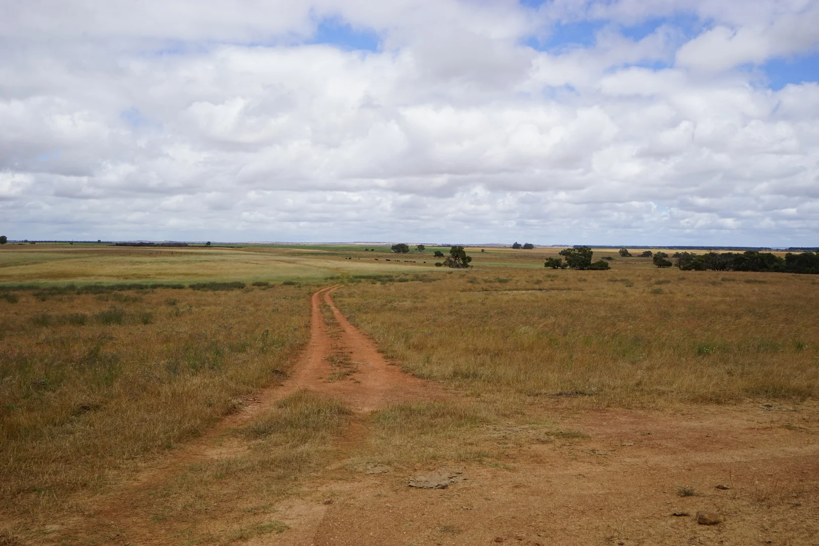 Image 22
