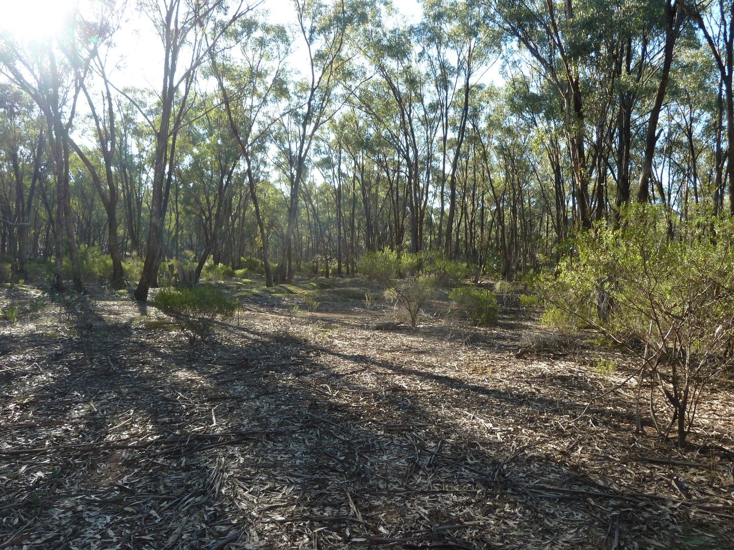 Lot 27 Wallaby Way, Wedderburn VIC 3518, Image 0