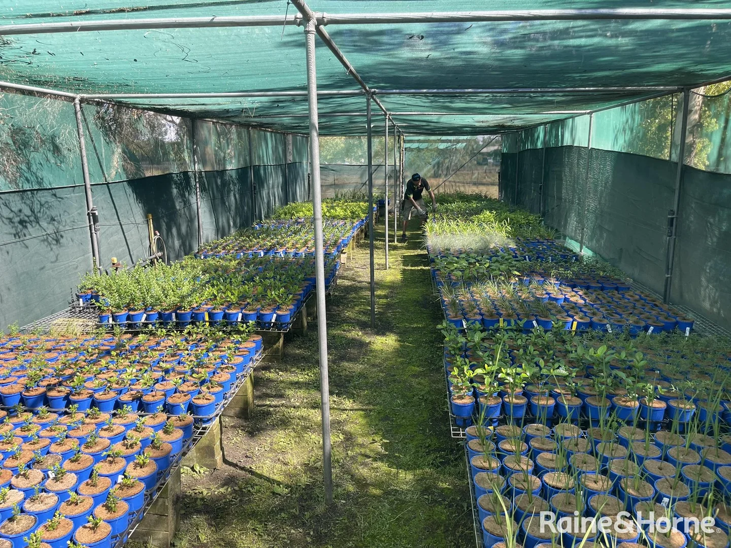 Additional image 18 of 361 Polo Road, Goondiwindi QLD 4390