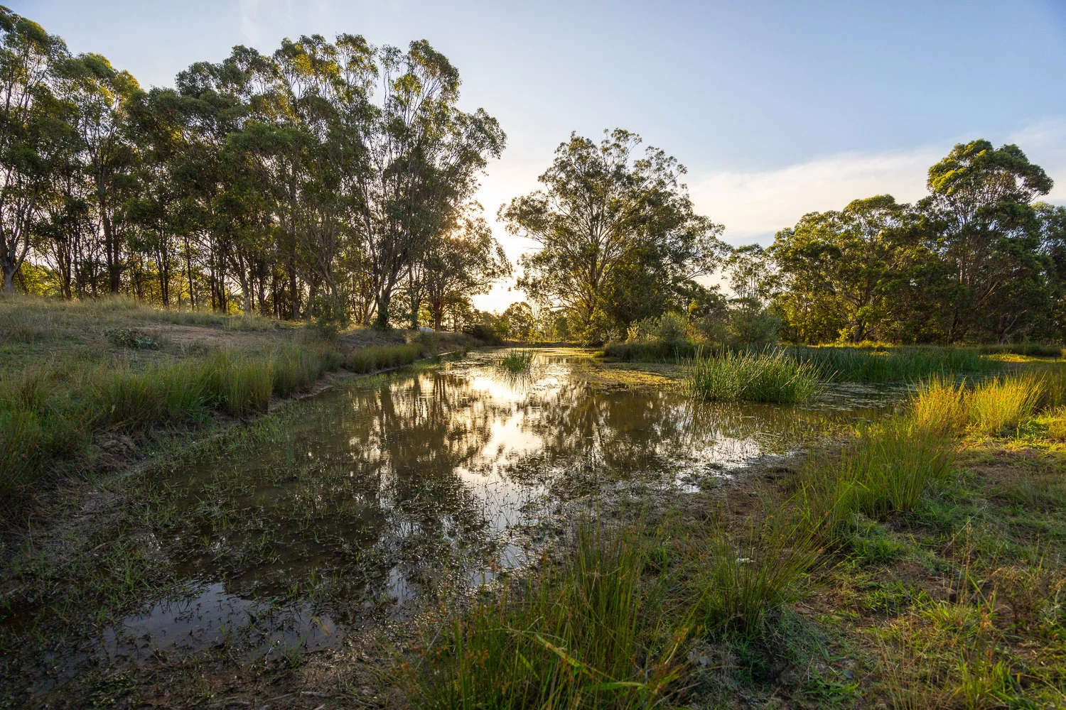 Additional image 20 of 100 Colonel Pye Drive, Cobbitty NSW 2570