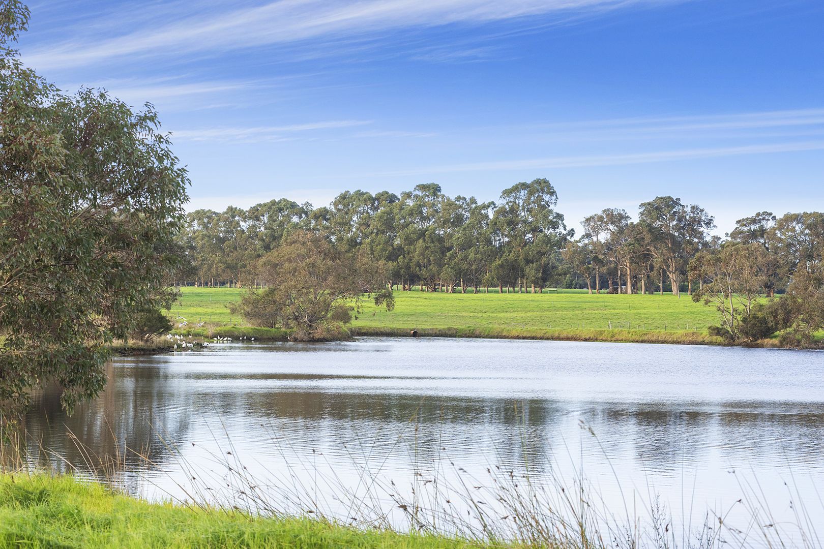 Proposed Lot 66 Concerto Drive, Cowaramup WA 6284, Image 1