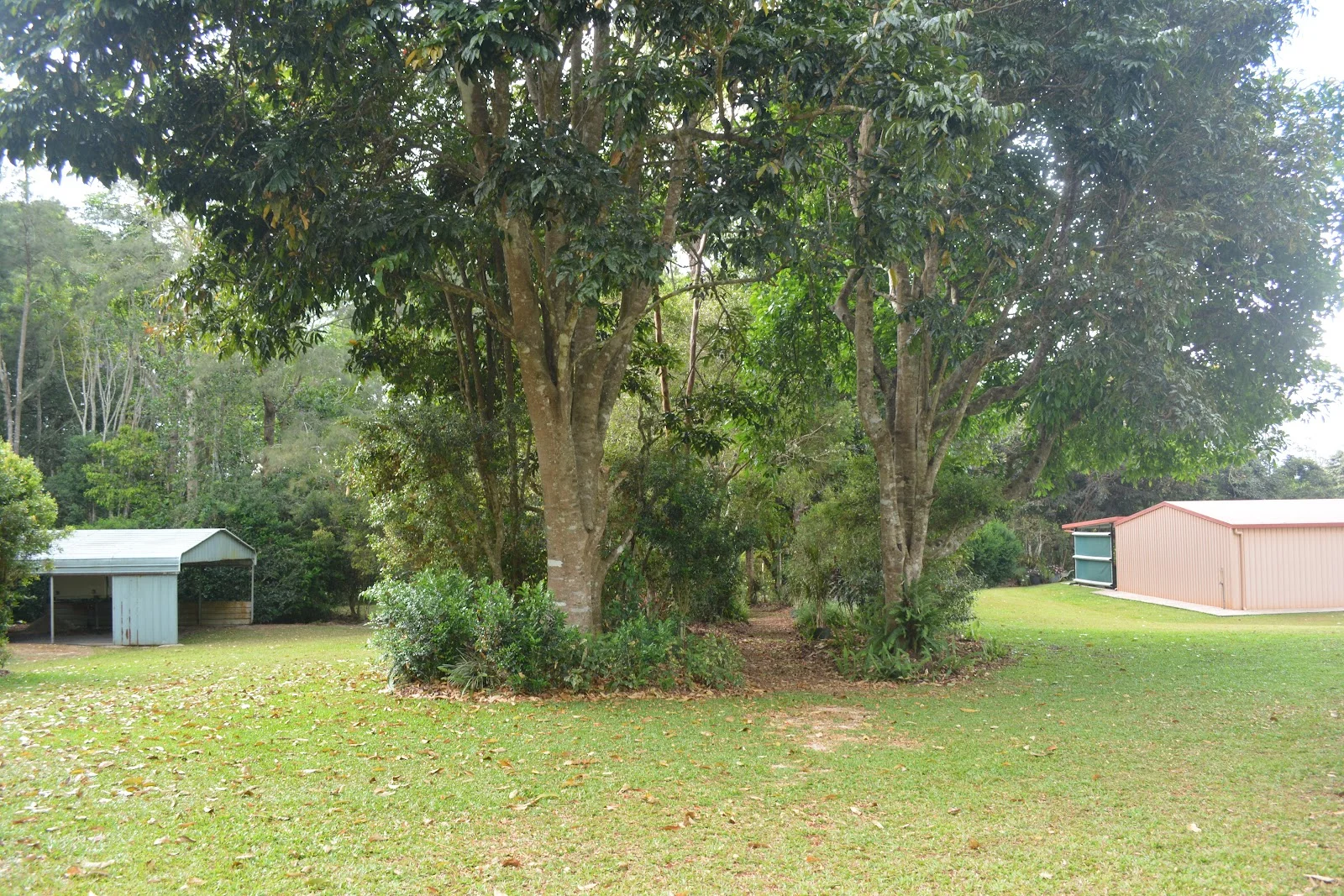 Image 32