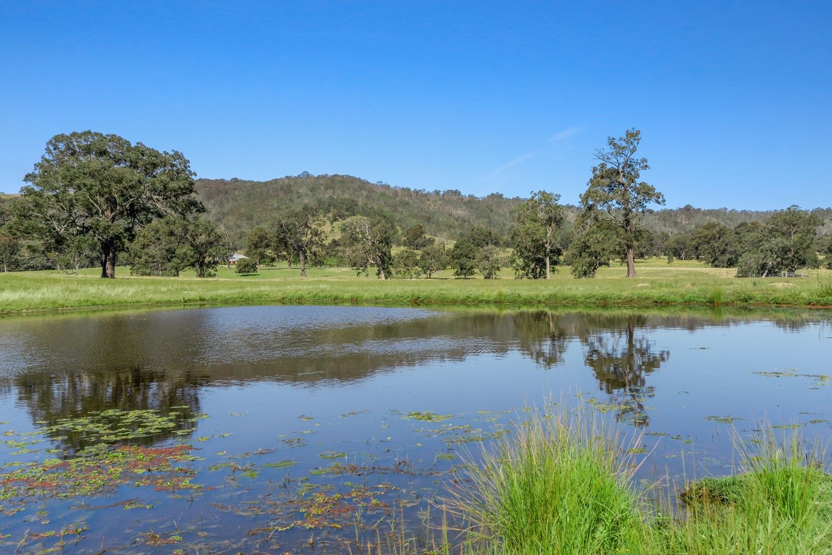 204 Torryburn Road via, Paterson NSW 2421, Image 0