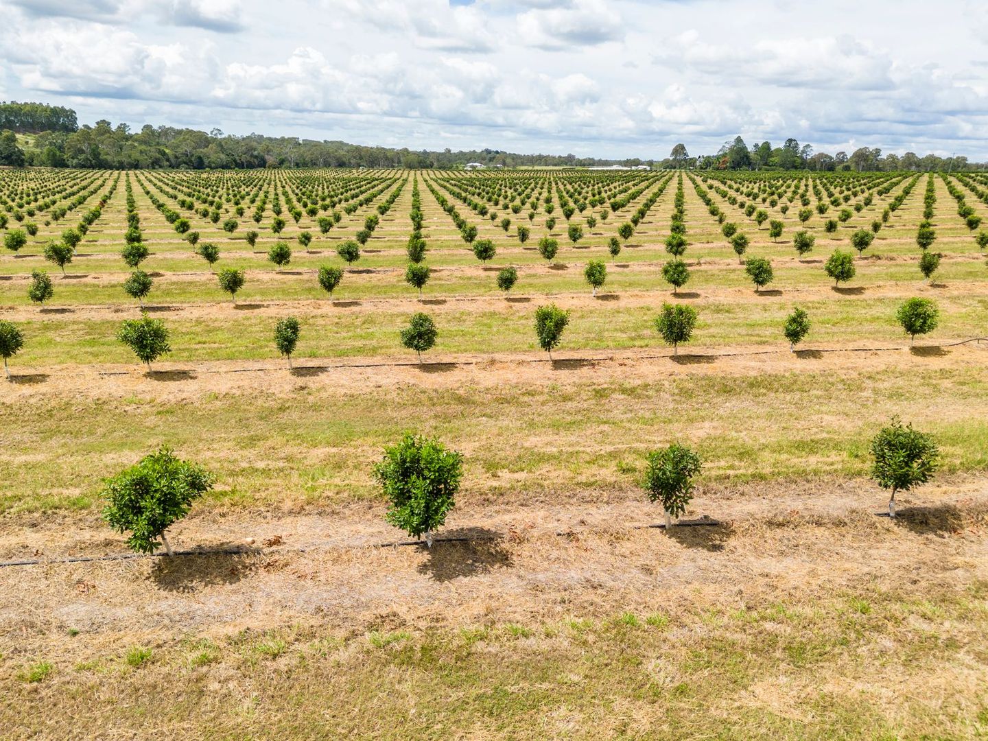 South Isis QLD 4660, Image 2