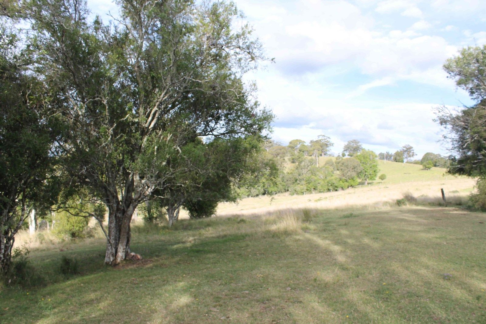 975 Killarney Barlows Gate Rd, Elbow Valley QLD 4370, Image 1