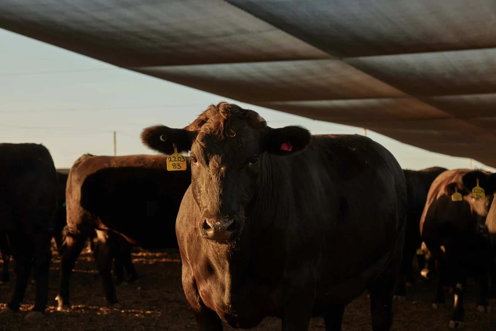 Additional image 6 of Proston QLD 4613