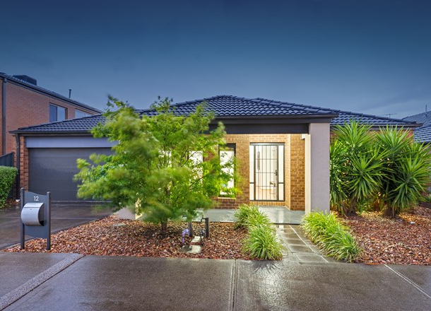 12 Wisteria Avenue, Craigieburn VIC 3064