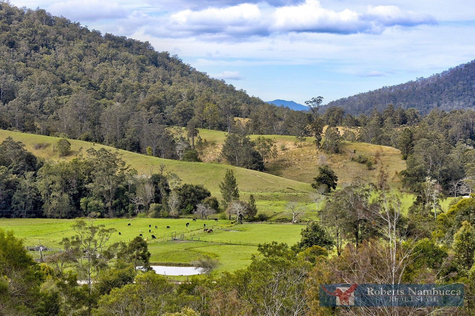 3 bedrooms Rural in 555 Upper Buckrabendinni Rd BUCKRA BENDINNI NSW, 2449