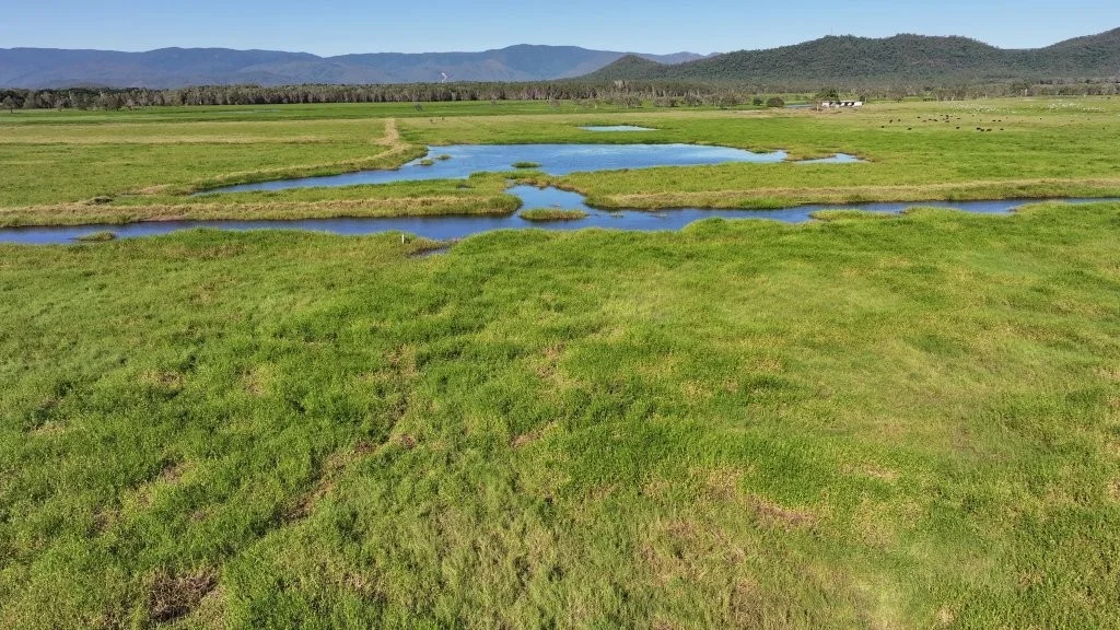 Additional image 10 of Pomona Road, Ingham QLD 4850