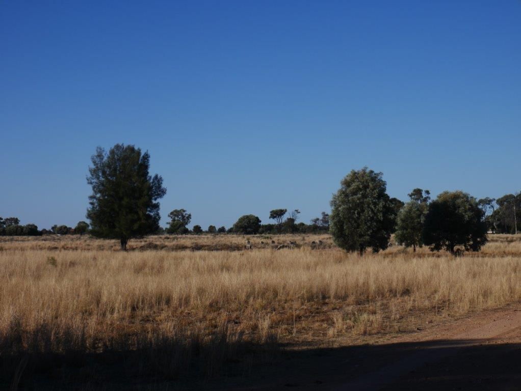 The Gums QLD 4406, Image 0