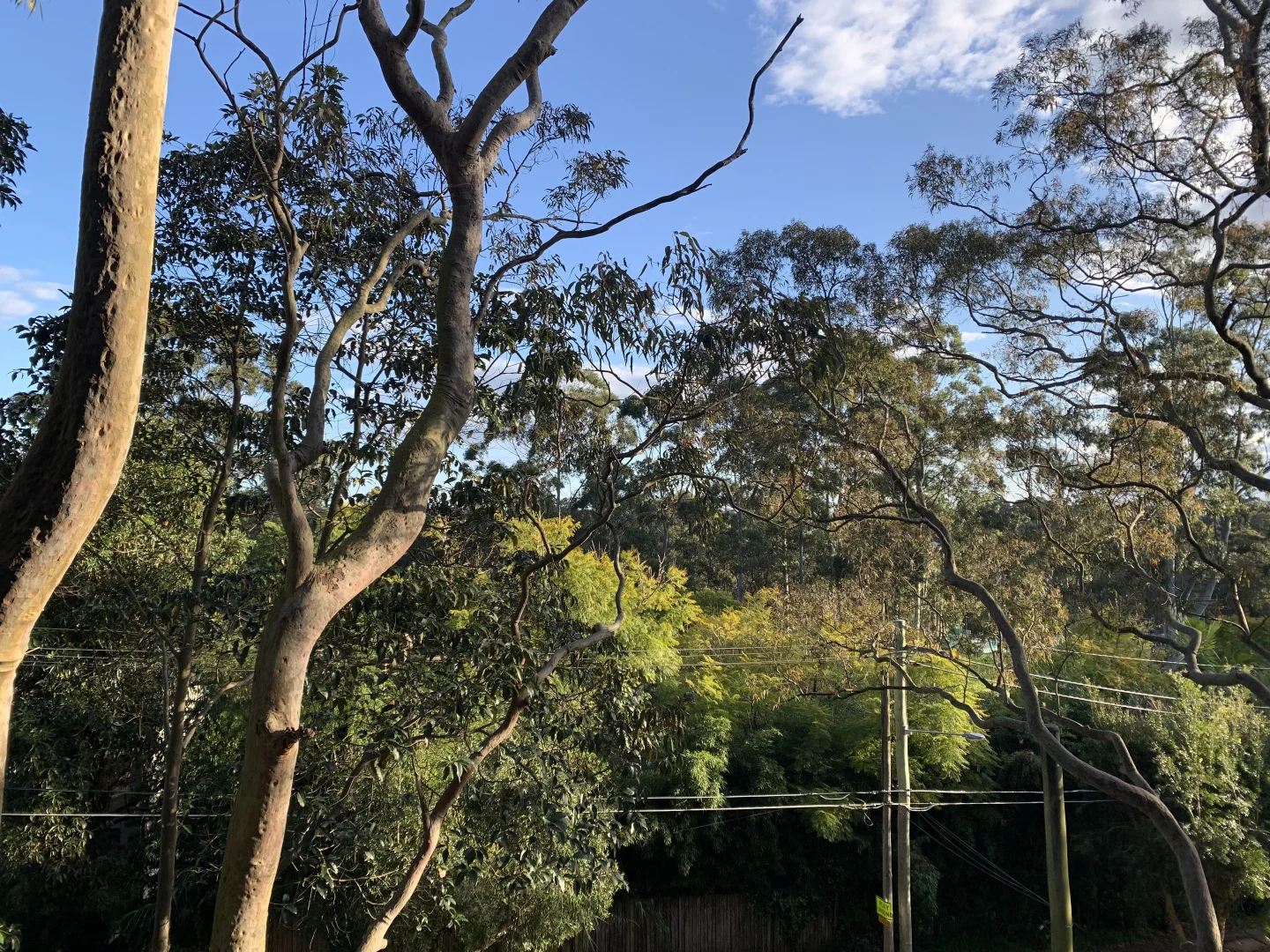 Additional image 2 of 19/15-21 Mindarie Street, Lane Cove NSW 2066