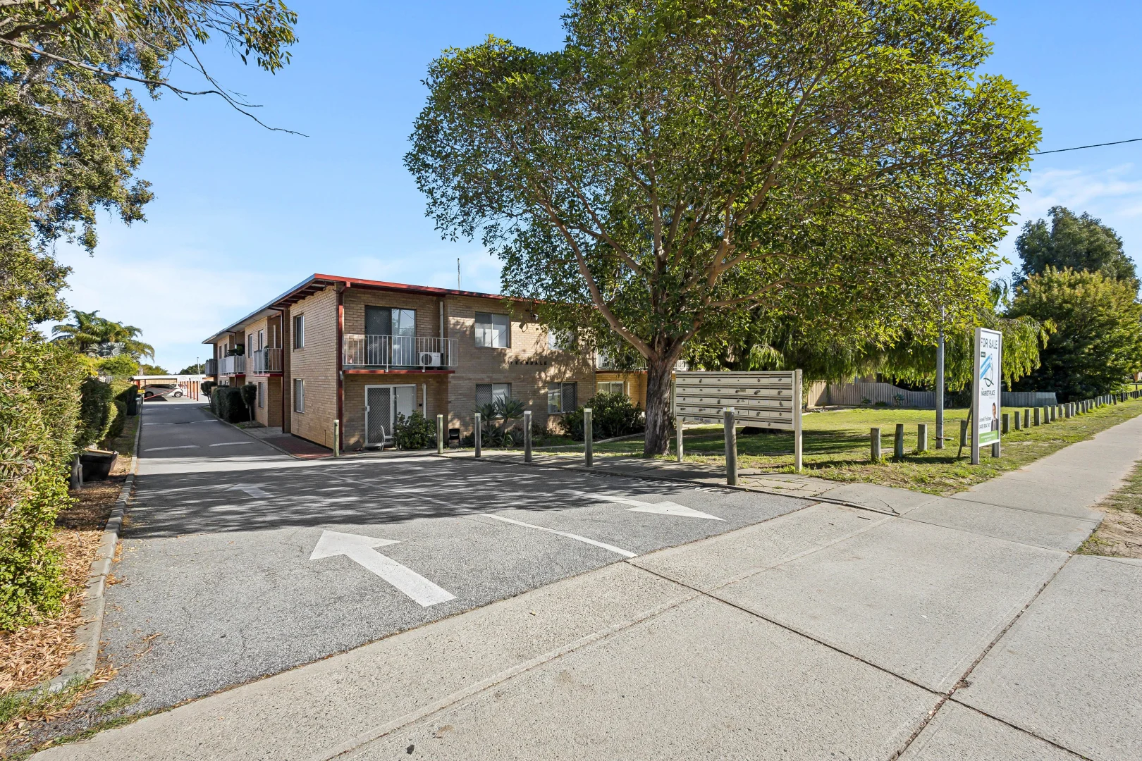 Image 15