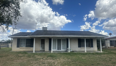 Picture of 25 Wattle Crescent, MOREE NSW 2400