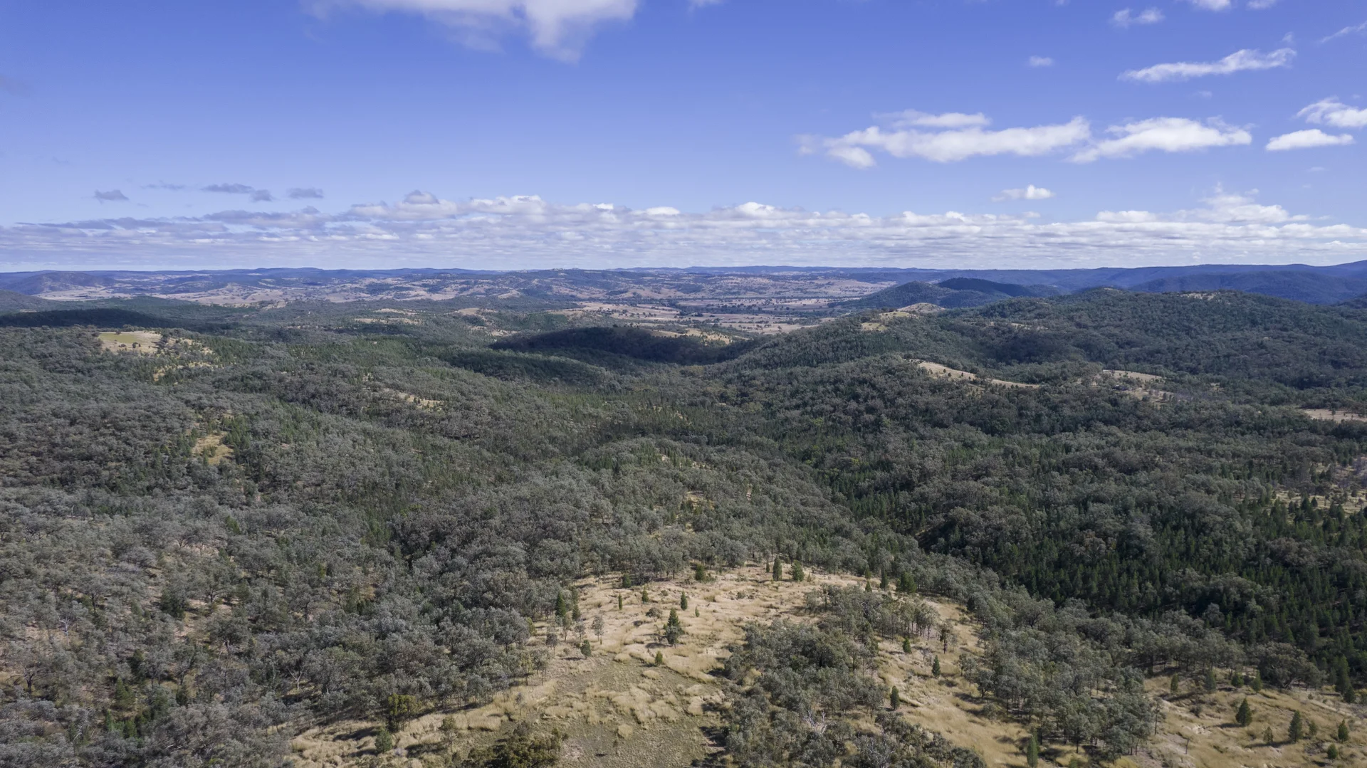 Additional image 19 of 4970 Bruxner Way, Tenterfield NSW 2372