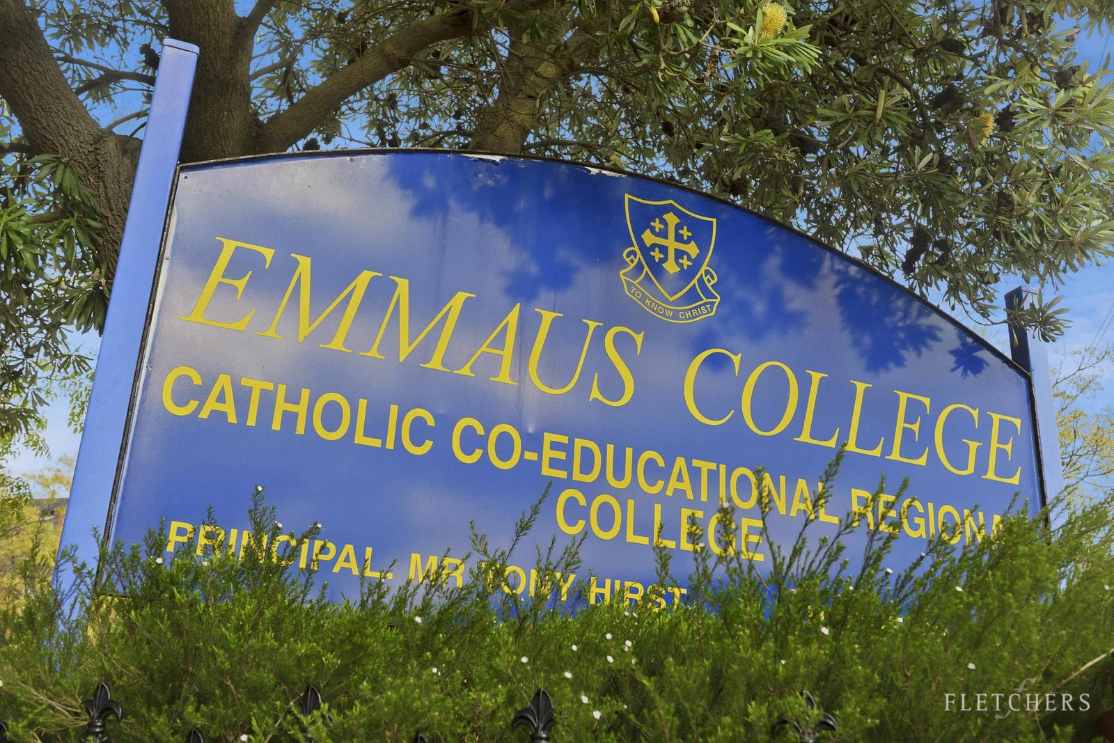Image 15