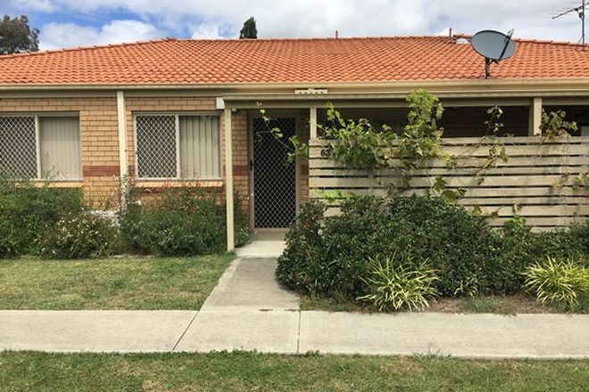 Picture of 63/80-92 Queen Elizabeth Drive, ARMIDALE NSW 2350