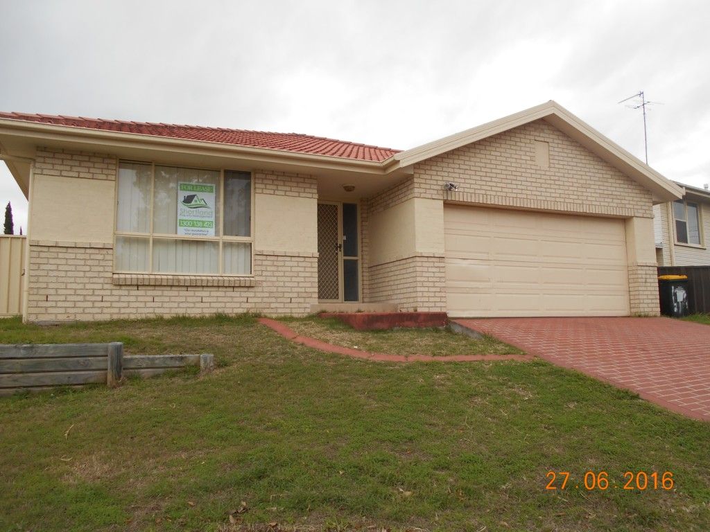17A David Avenue, East Maitland Property History & Address Research