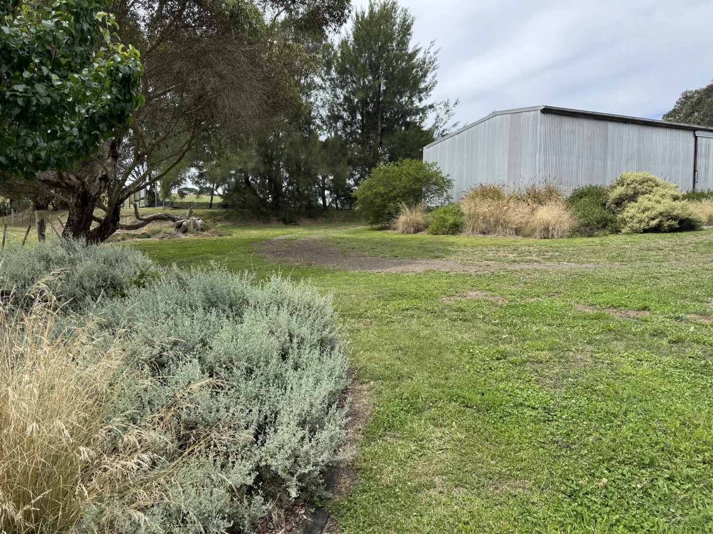 Image 30
