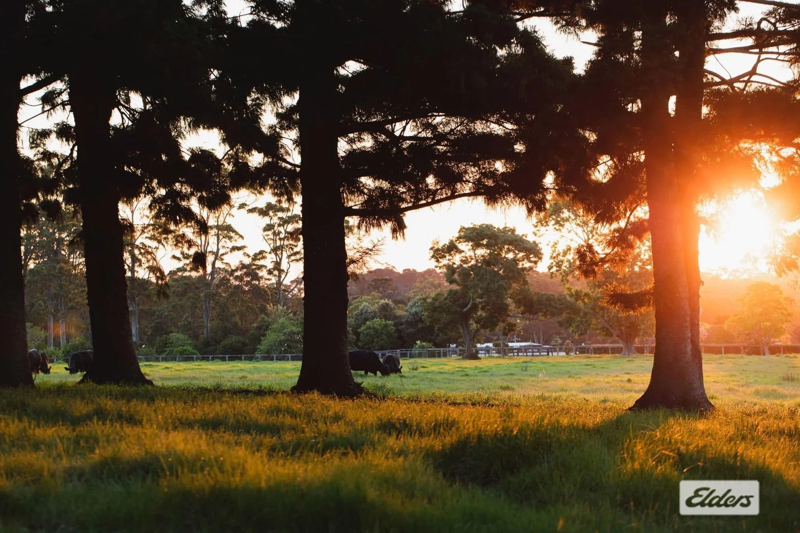 Additional image 16 of 691 Wisemans Ferry Road, Somersby NSW 2250