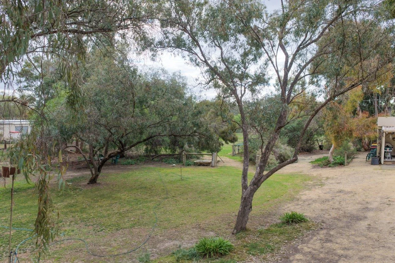 Image 13