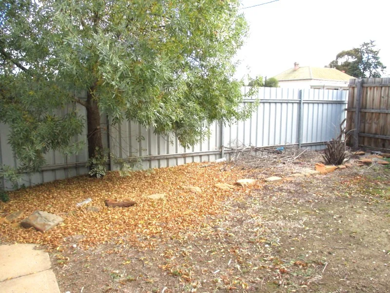 Image 13