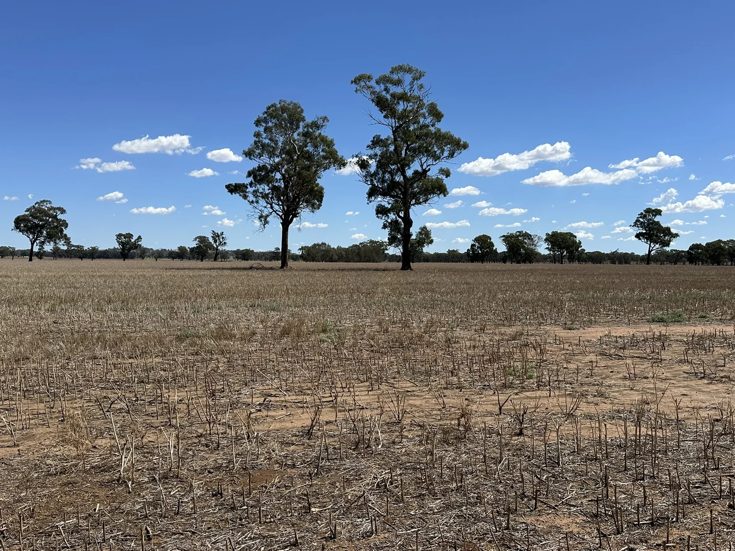 Additional image 18 of 1501 Howlong-Goombargana Road, Brocklesby NSW 2642