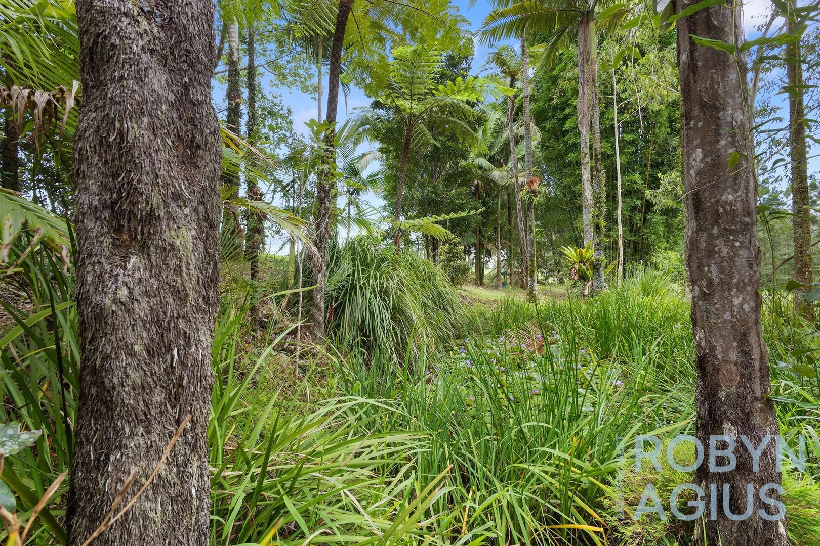 Additional image 29 of 184 Cathay Creek Road, Crediton QLD 4757