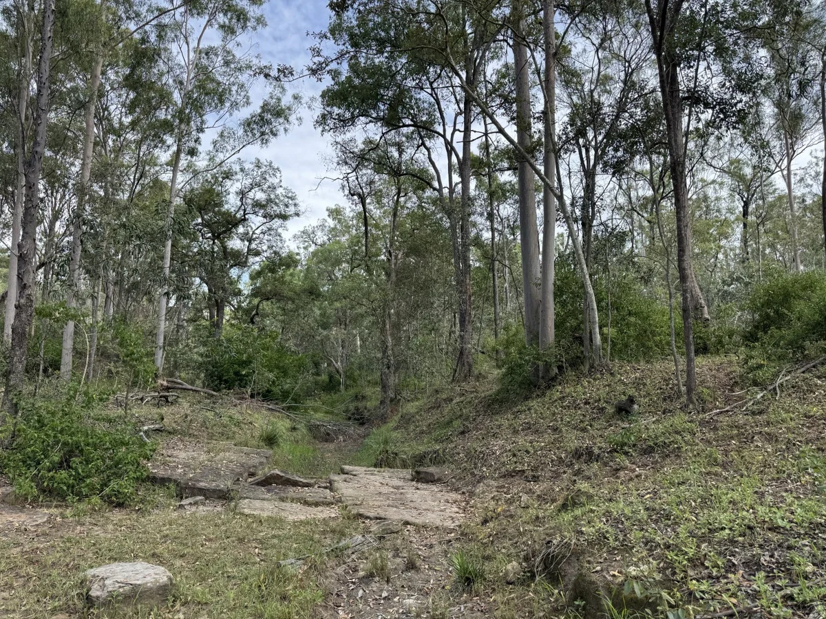 Image 23