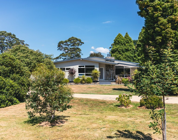 53 Argonaut Road, St Helens TAS 7216