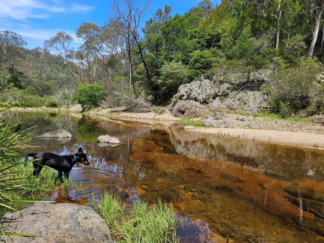 Additional image 3 of 50 Omaru Lane, Bald Hills NSW 2549