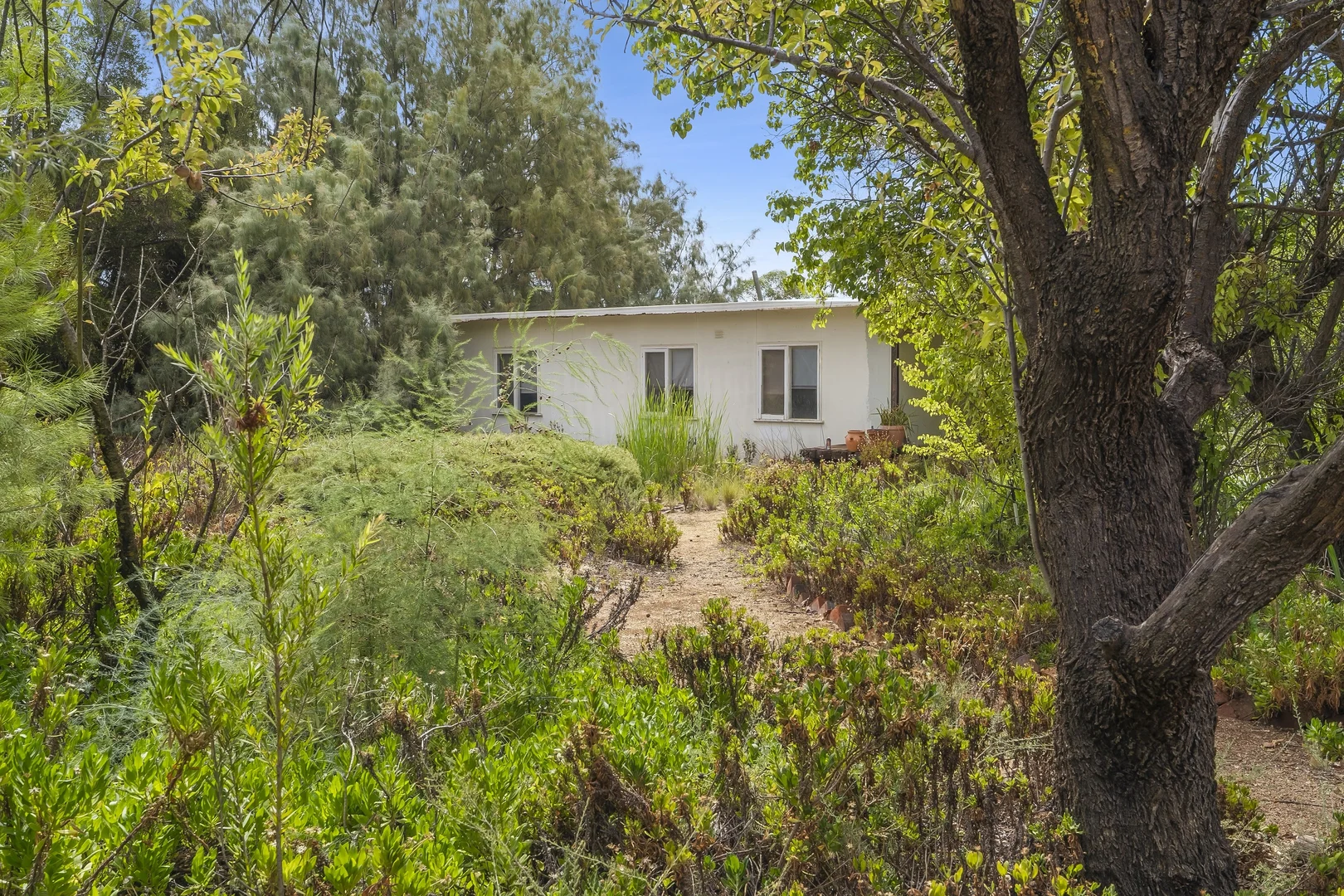 Additional image 15 of 30 Hoffman Road, Barmera SA 5345