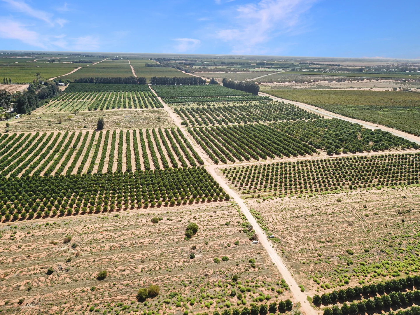 Additional image 7 of Lot 80 Foster Road, Sunlands SA 5322