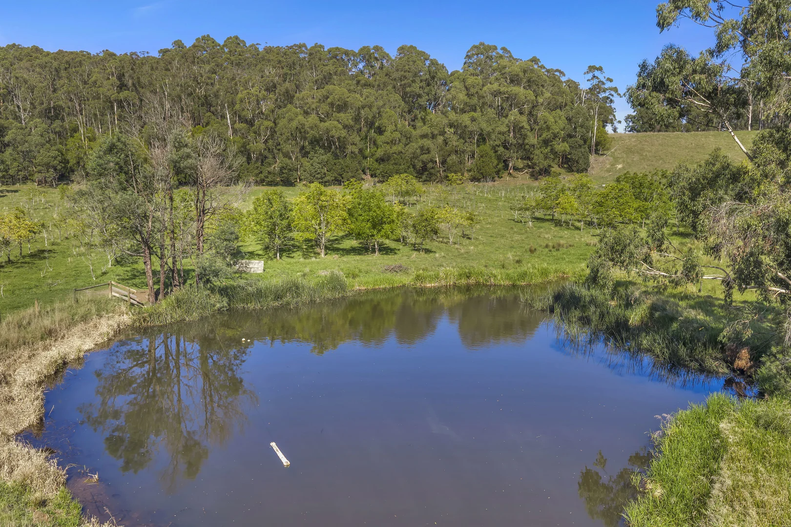 Additional image 23 of 215 Fraser Spur Road, Neerim East VIC 3831