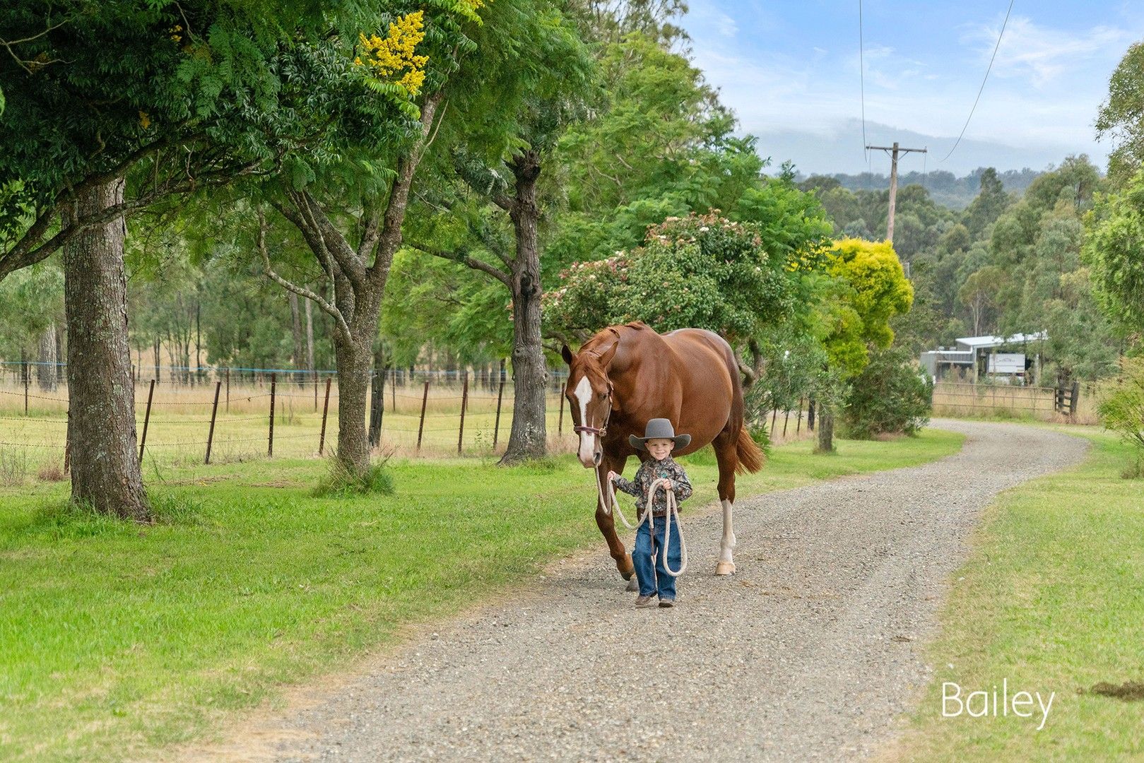 3193E New England Highway, Belford NSW 2335, Image 2