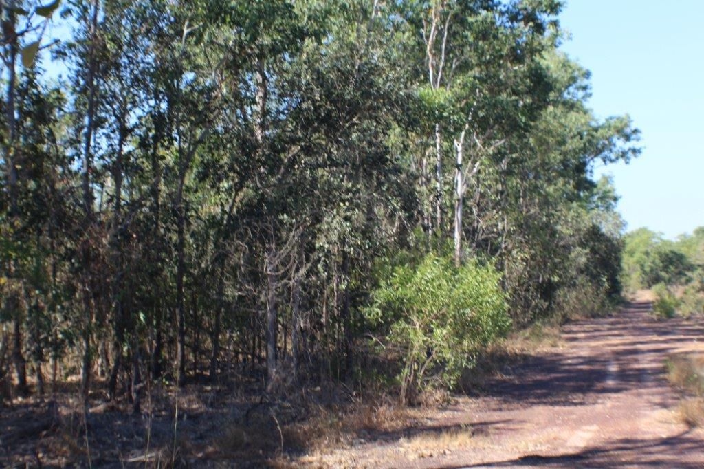 63 Beddington Road, Herbert NT 0836, Image 1