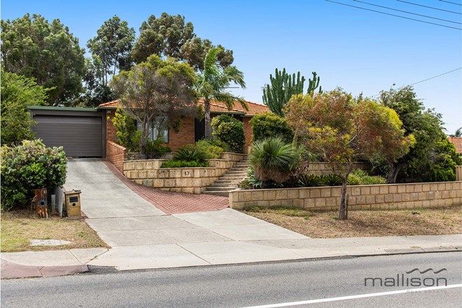 Picture of 17 Moorhen Drive, YANGEBUP WA 6164