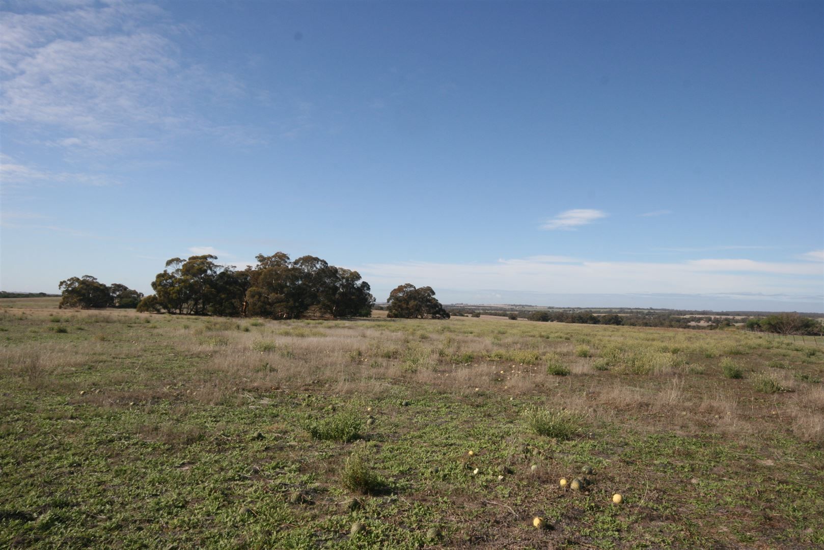 Lot 9 Maitland Road, Kokeby WA 6304, Image 2