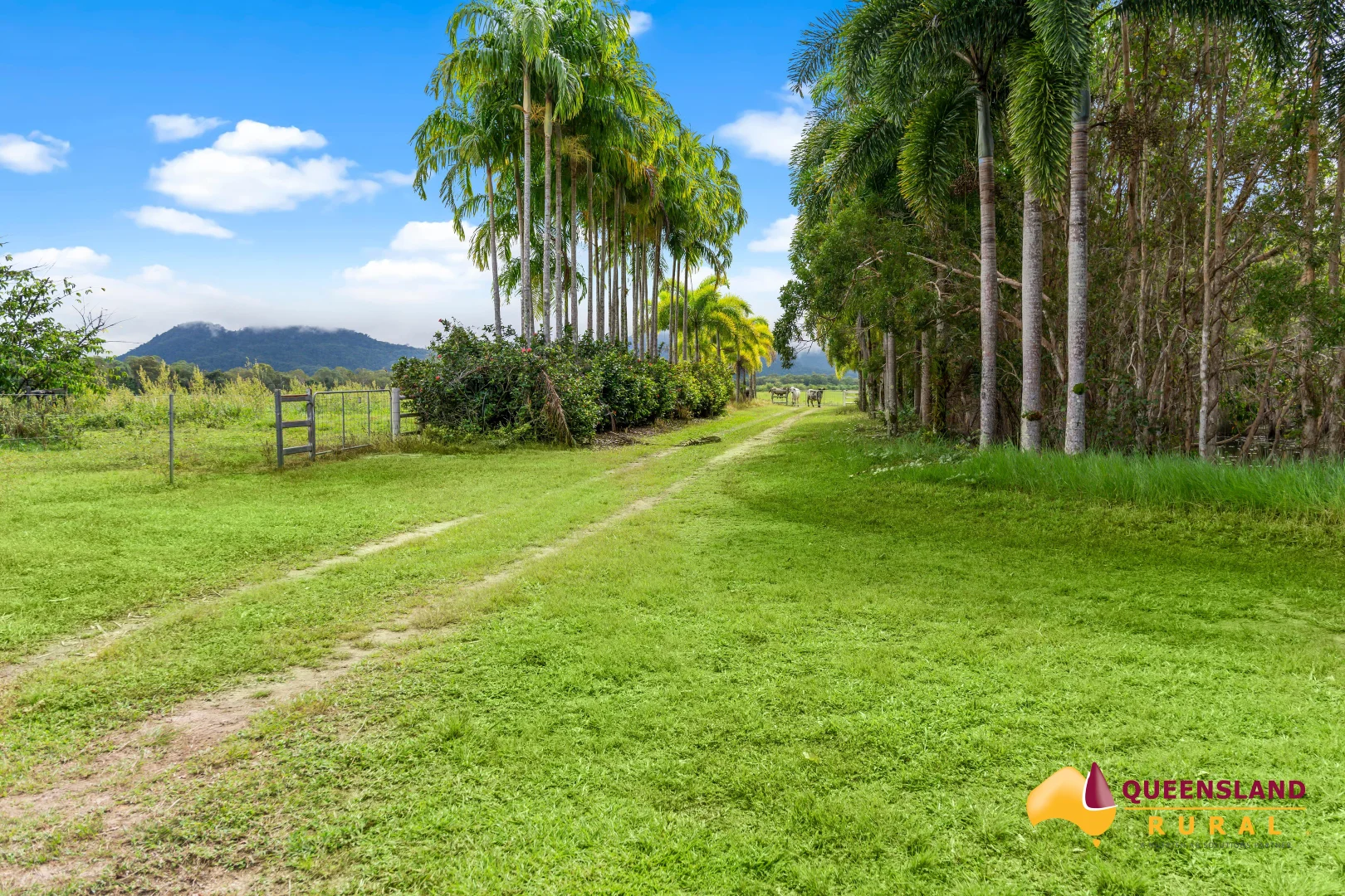 Additional image 54 of Bramston Beach QLD 4871