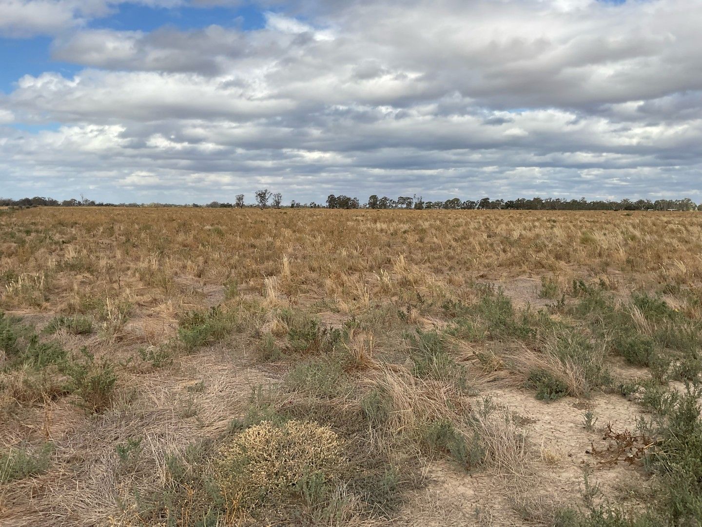 1467 KerangKoondrook Road, Teal Point VIC 3579 House for Sale 800,000