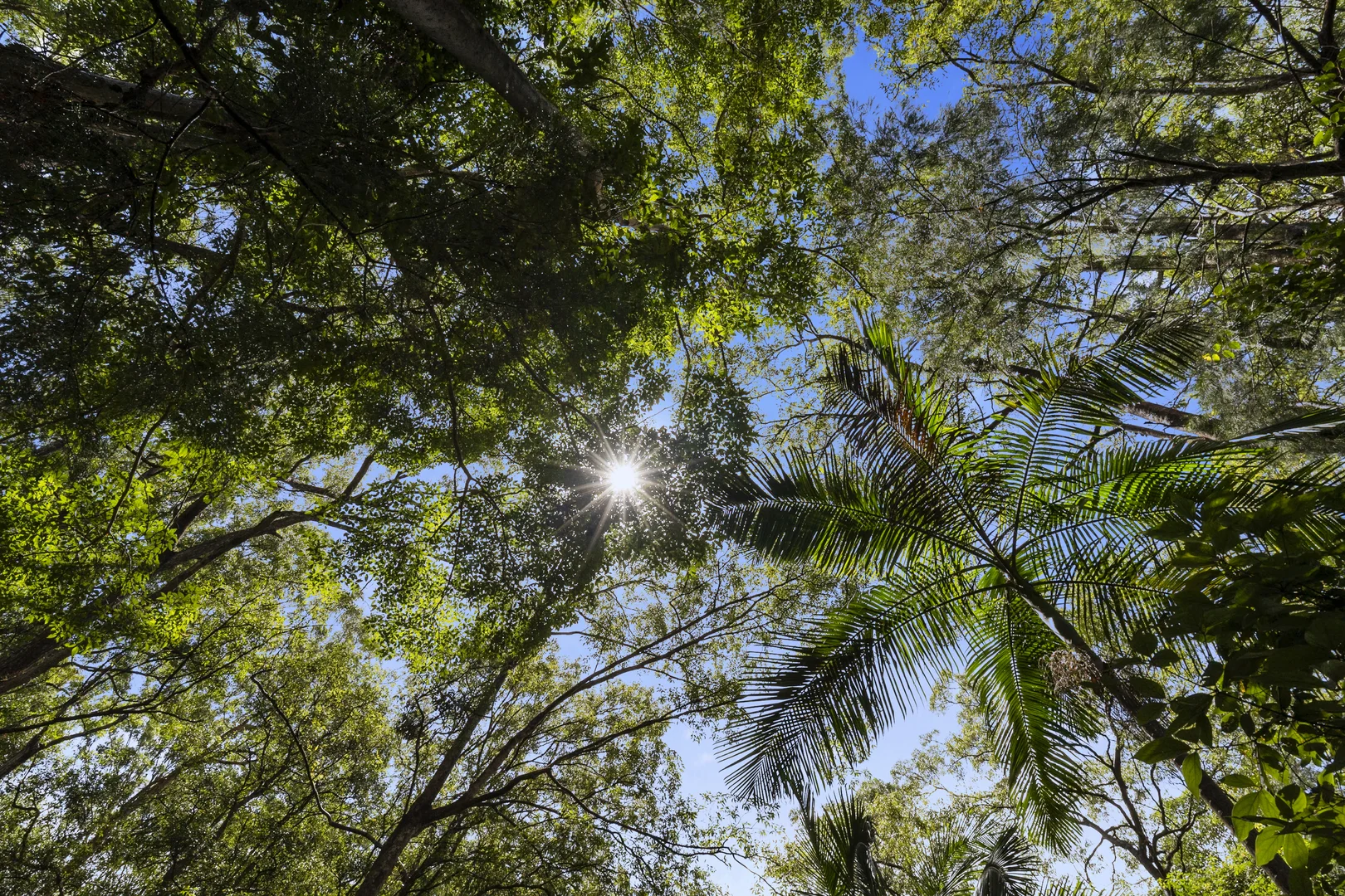 Additional image 2 of 1000 Urliup Road, Urliup NSW 2484