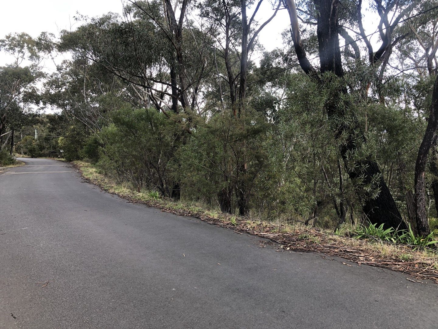 25 Innes Road, Mount Victoria NSW 2786, Image 0