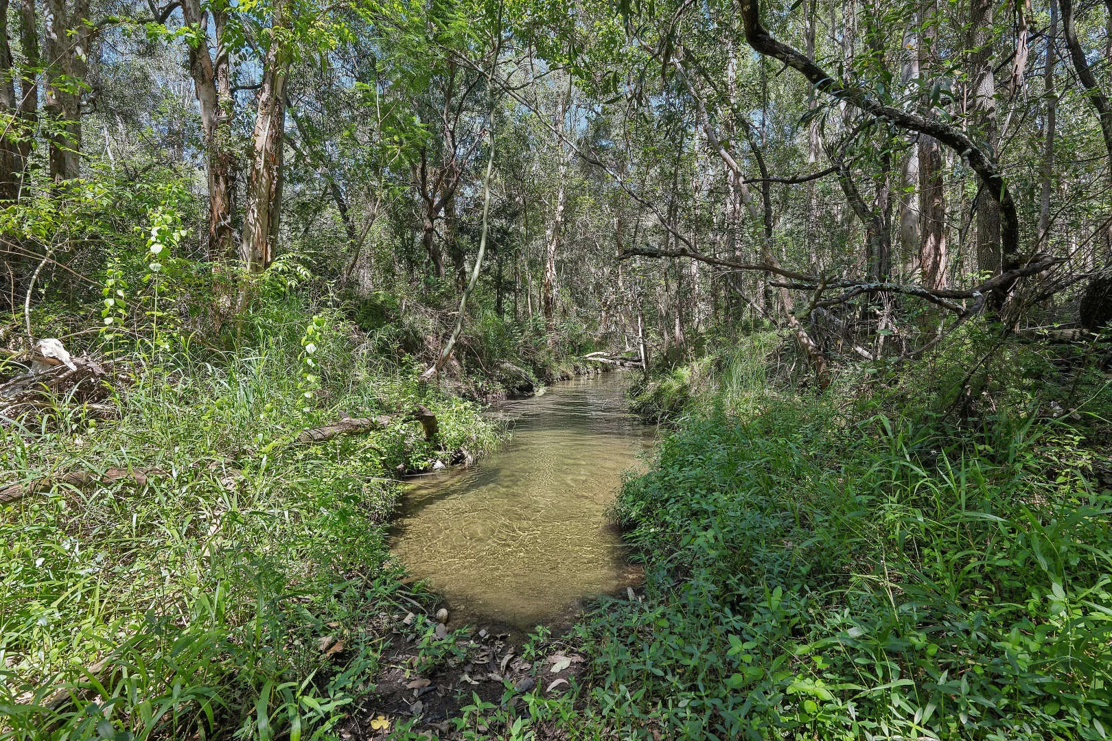 Image 27