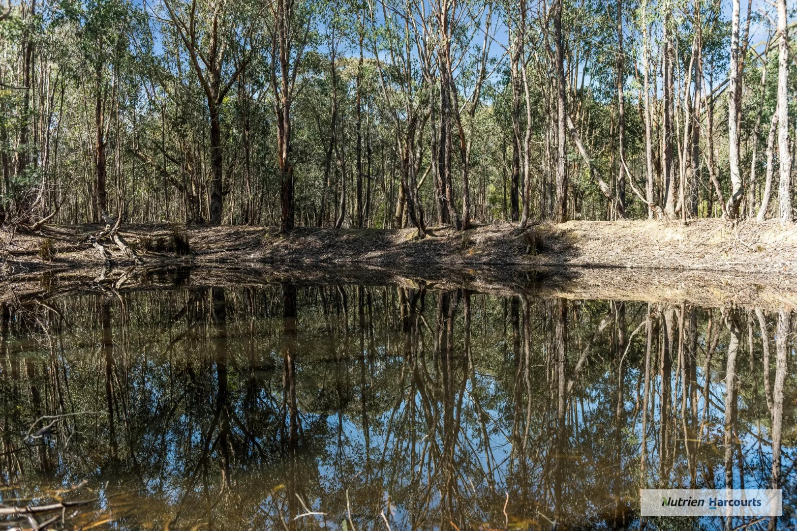 Additional image 23 of 740 Spur Road, Clonbinane VIC 3658
