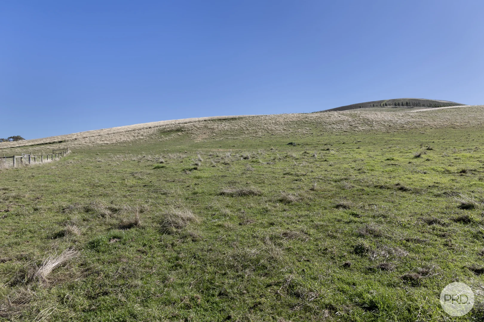 Image 17